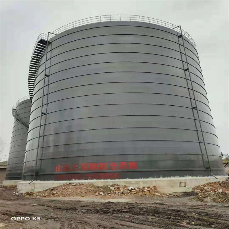 金平3万吨大型钢板库